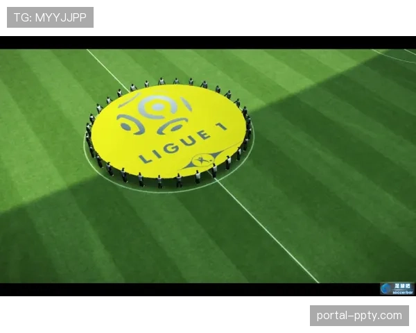 为提升观赛安全,法甲部分球场将在下赛季启用新型安检门。 为提升观赛安全,法甲部分球场将在下赛季启用新型安检门。